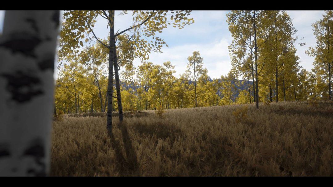 UE素材 虚拟引擎高山森林公路场景3D模型素材 Unreal Engine Realistic Forest Pack 样机素材 第19张