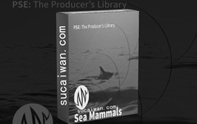 43款海洋生物海豹海豚鲸鱼声音无损音效 PSE The Producer’s Library Sea Mammals