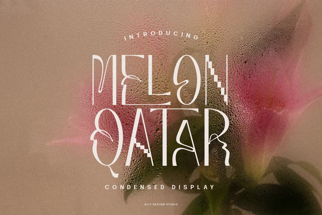 现代复古波西米亚风品牌海报徽标设计无衬线英文字体安装包 Melon Qatar Typeface 设计素材 第1张