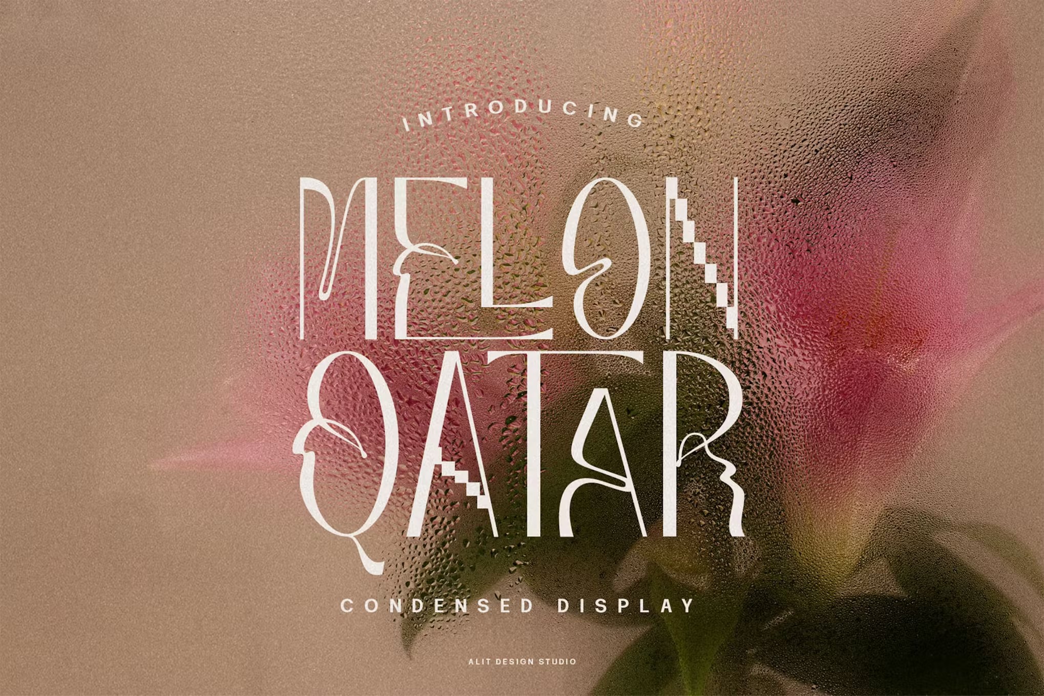 现代复古波西米亚风品牌海报徽标设计无衬线英文字体安装包 Melon Qatar Typeface 设计素材 第11张