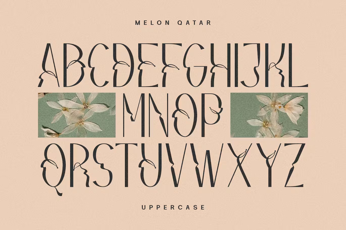 现代复古波西米亚风品牌海报徽标设计无衬线英文字体安装包 Melon Qatar Typeface 设计素材 第14张