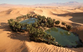 UE素材 沙漠戈壁绿洲椰子棕榈树湖泊场景3D模型素材 Unreal Engine – Dune Desert Landscape