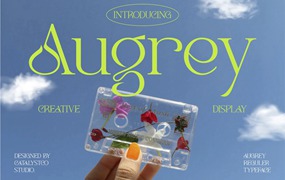 英文字体：夏日氛围感极简趣味标题排版无衬线装饰英文字体 Augrey Creative Display