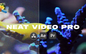 AE/PR/达芬奇插件：专业视频降噪插件Neat Video Pro 5.6.5 for Win