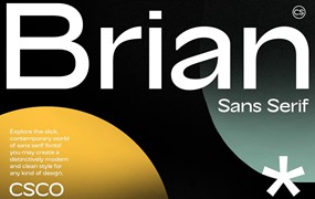 现代时尚美学杂志海报徽标网站设计无衬线英文字体安装包 CS Brian – Contemporary Font