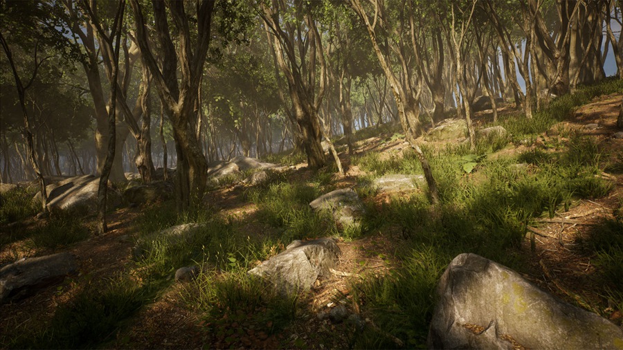 UE素材 虚拟引擎森林树木山地岩石3D模型 Unreal Engine – Leaf Tree Forest Biome , 第4张