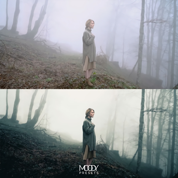 Moody LUTs 111个真实好莱坞电影旅拍vlog仿真颜色分级预设LUTS Cinematic LUTs by Moody Presets 插件预设 第14张