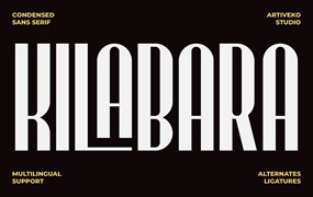 优雅科技品牌海报徽标设计无衬线英文字体安装包 Kilabara Condensed Sans Serif
