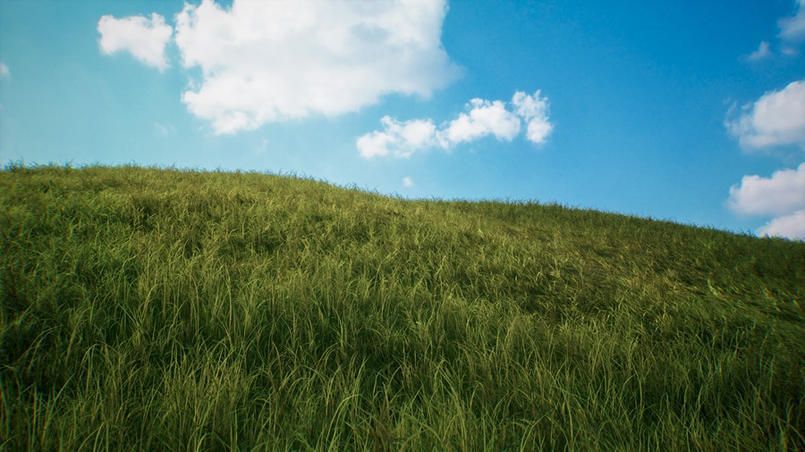 UE素材 虚拟引擎草原草甸山地地形3D模型 Unreal Engine – Brushify – Grasslands Pack 样机素材 第5张