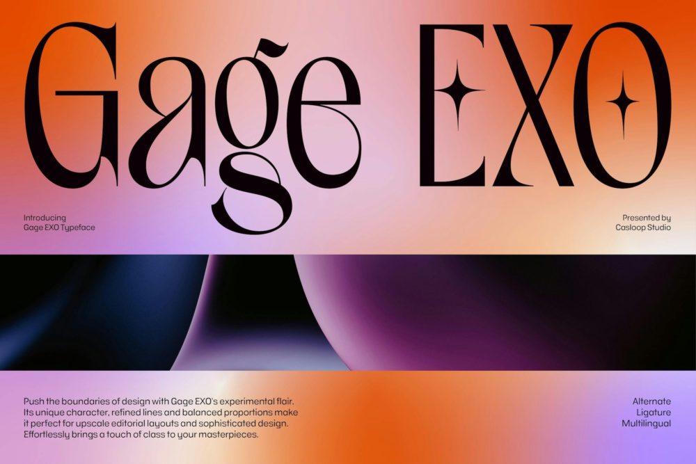 时尚复古新艺术风格品牌书籍徽标设计衬线英文字体安装包 Gage EXO – Elegant Fashion Experimental Gen Z Font , 第1张