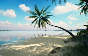 海边沙滩棕榈树海岸岩石UE模型设计素材 Unreal Engine – Brushify – Tropical Pack