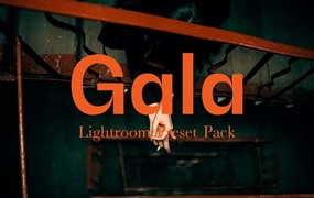 电影外观褐色人物肖像摄影照片调色Lightroom预设 Marat Safin – Gala – Lightroom Preset Pack