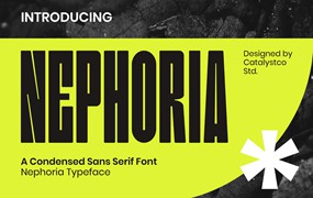 时尚极简品牌杂志徽标设计无衬线英文字体安装包 Nephoria Condensed Sans Serif Font