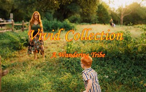 华丽棕色颗粒锐化效果家庭摄影照片调色Lightroom预设包 A Wandering Tribe: Vivid Collection