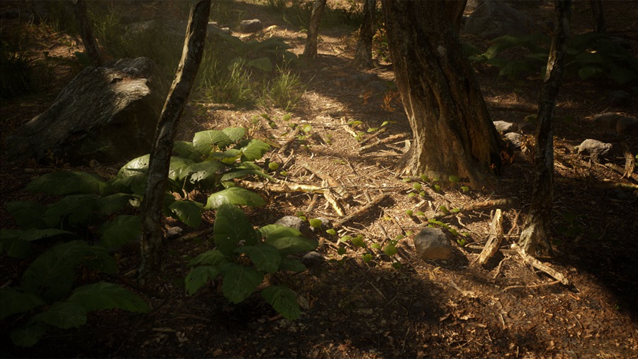 UE素材 虚拟引擎森林树木山地岩石3D模型 Unreal Engine – Leaf Tree Forest Biome , 第8张