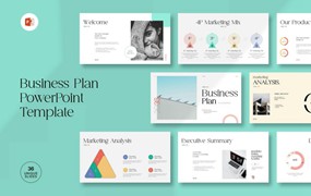 时尚企业营销策划演示文稿设计ppt模板 Business Plan PowerPoint Presentation