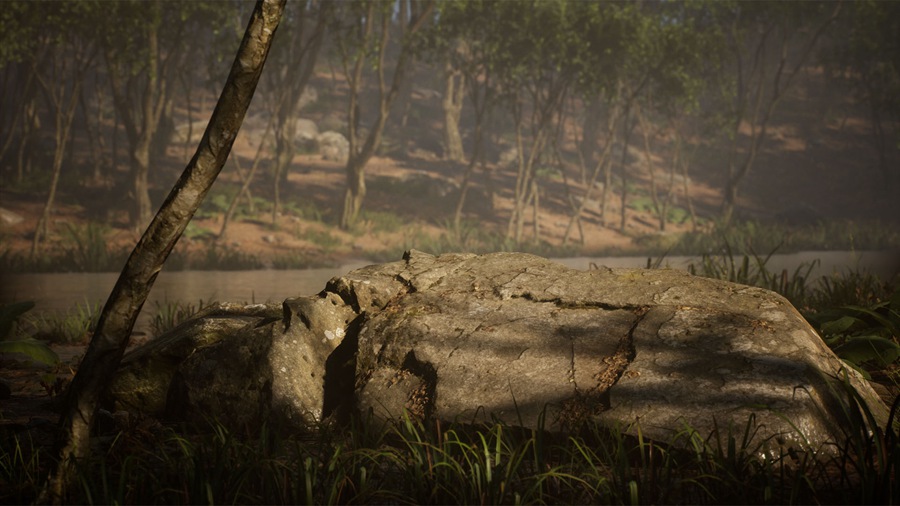 UE素材 虚拟引擎森林树木山地岩石3D模型 Unreal Engine – Leaf Tree Forest Biome , 第20张