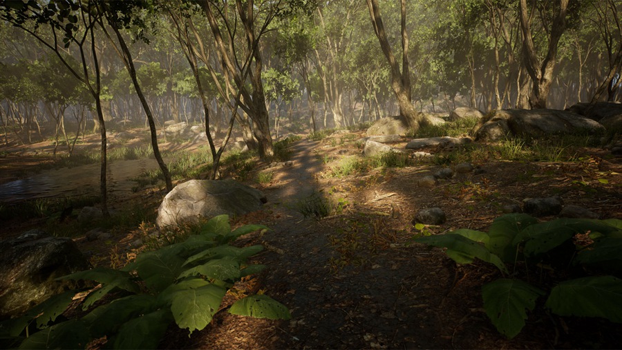 UE素材 虚拟引擎森林树木山地岩石3D模型 Unreal Engine – Leaf Tree Forest Biome , 第1张