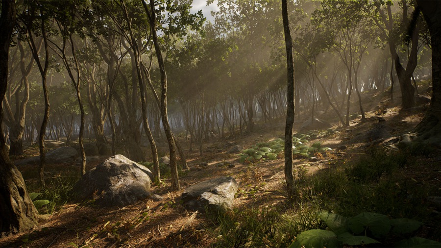 UE素材 虚拟引擎森林树木山地岩石3D模型 Unreal Engine – Leaf Tree Forest Biome , 第17张