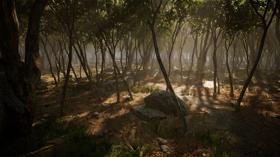 UE素材 虚拟引擎森林树木山地岩石3D模型 Unreal Engine – Leaf Tree Forest Biome , 第19张