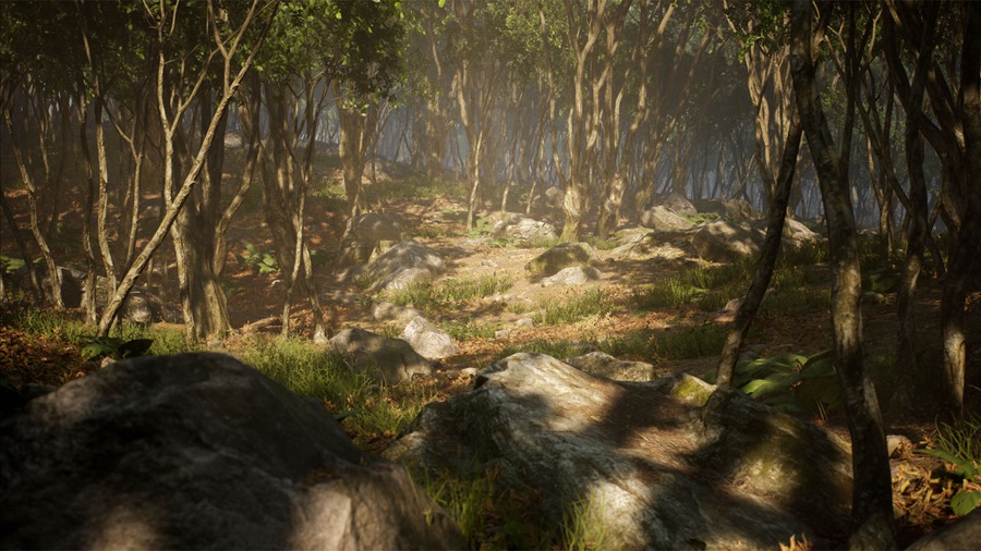 UE素材 虚拟引擎森林树木山地岩石3D模型 Unreal Engine – Leaf Tree Forest Biome , 第9张