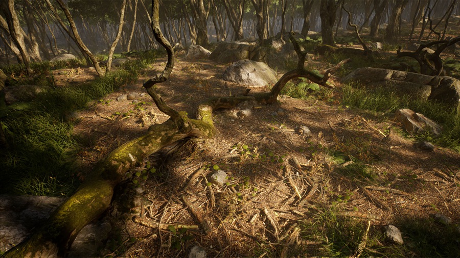 UE素材 虚拟引擎森林树木山地岩石3D模型 Unreal Engine – Leaf Tree Forest Biome , 第15张