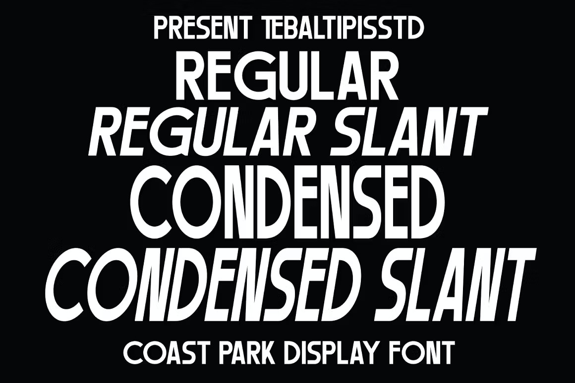 现代品牌海报标牌徽标设计无衬线英文字体安装包 Coast Park – Modern Sans Branding , 第8张