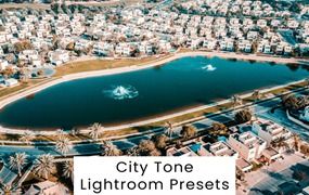 复古赛博朋克皮肤润饰婚礼城市摄影照片调色Lightroom预设 City Tone Lightroom Presets