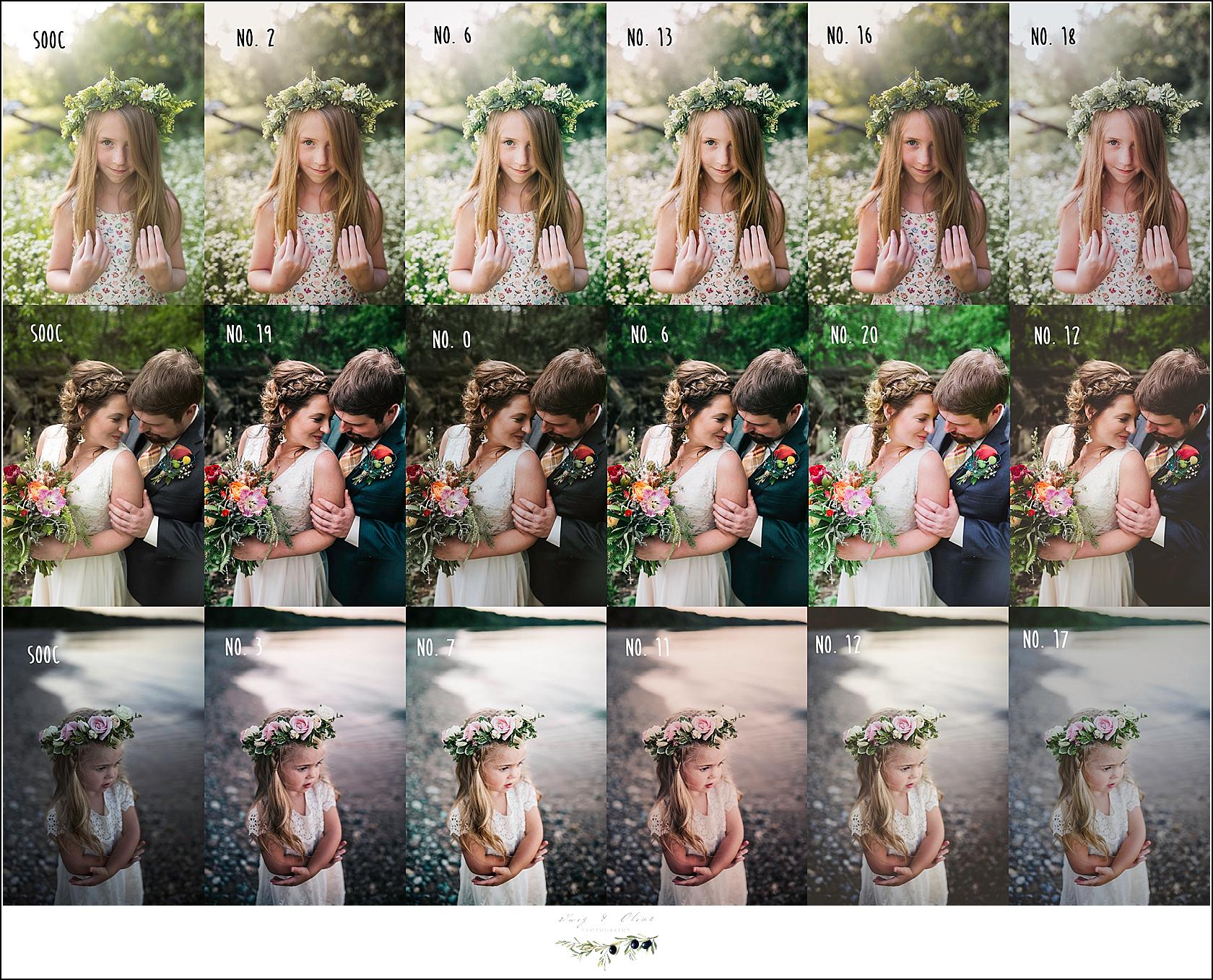 29组蓝绿色户外婚礼家庭摄影照片调色Lightroom预设 Twig & Olive Photography – LR Warm Film Presets 插件预设 第4张