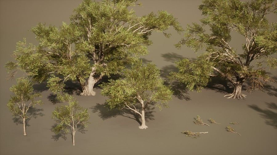 真实丛林树木灌木丛3d模型ue设计素材 Foliage VOL.13 – Southern Oak Trees , 第6张