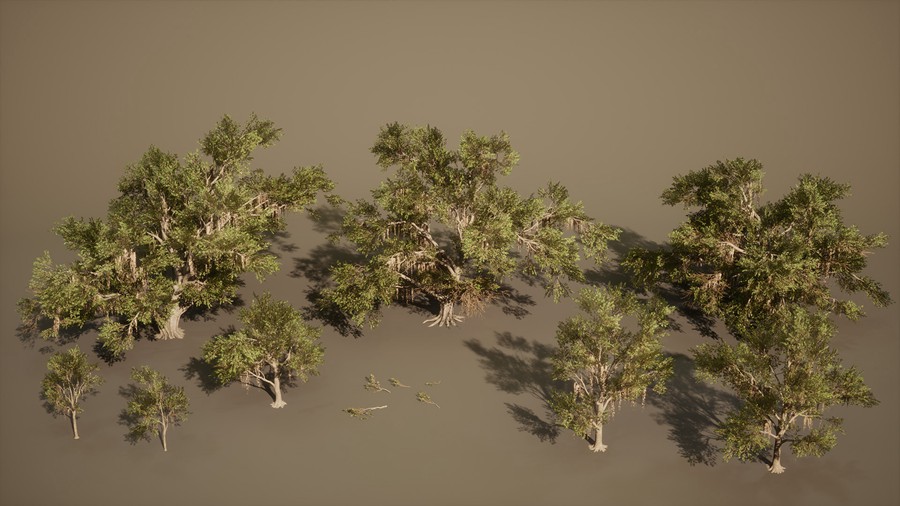 真实丛林树木灌木丛3d模型ue设计素材 Foliage VOL.13 – Southern Oak Trees , 第13张