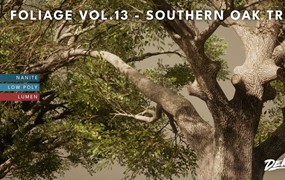 真实丛林树木灌木丛3d模型ue设计素材 Foliage VOL.13 – Southern Oak Trees