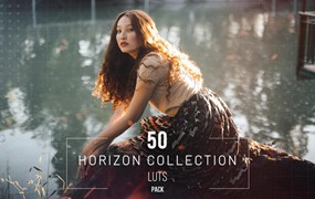 50组好莱坞电影婚礼照片调色Lightroom预设 50 Horizon LUT and Presets Collection