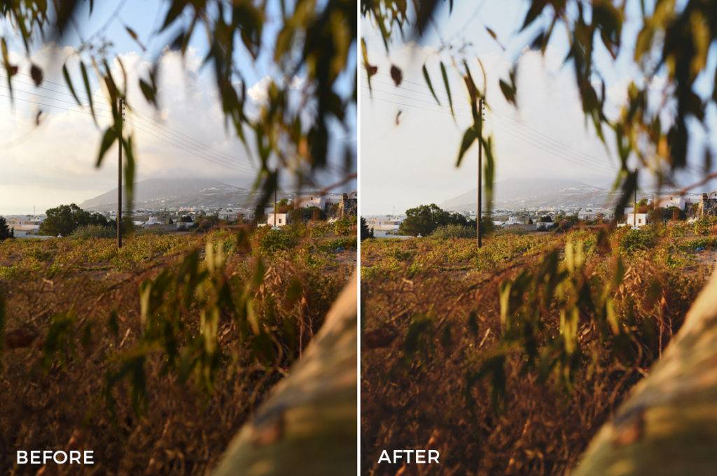 飞思预设 复古电影外观胶片模拟颗粒纹理质感照片调色Capture One预设 Film-Wash-Capture-One-Styles , 第5张