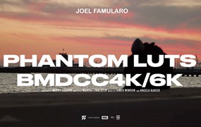 Phantom LUTs – BMPCC4K/6K仿阿莱ARRI真实胶片电影色彩模拟调色预设 Joel Famularo Phantom LUTs for BMDCC4K/6K