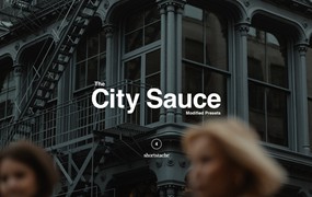 乌托邦城市生活电影感胶片人文扫街摄影调色LR预设 City Sauce Presets by Shortstache