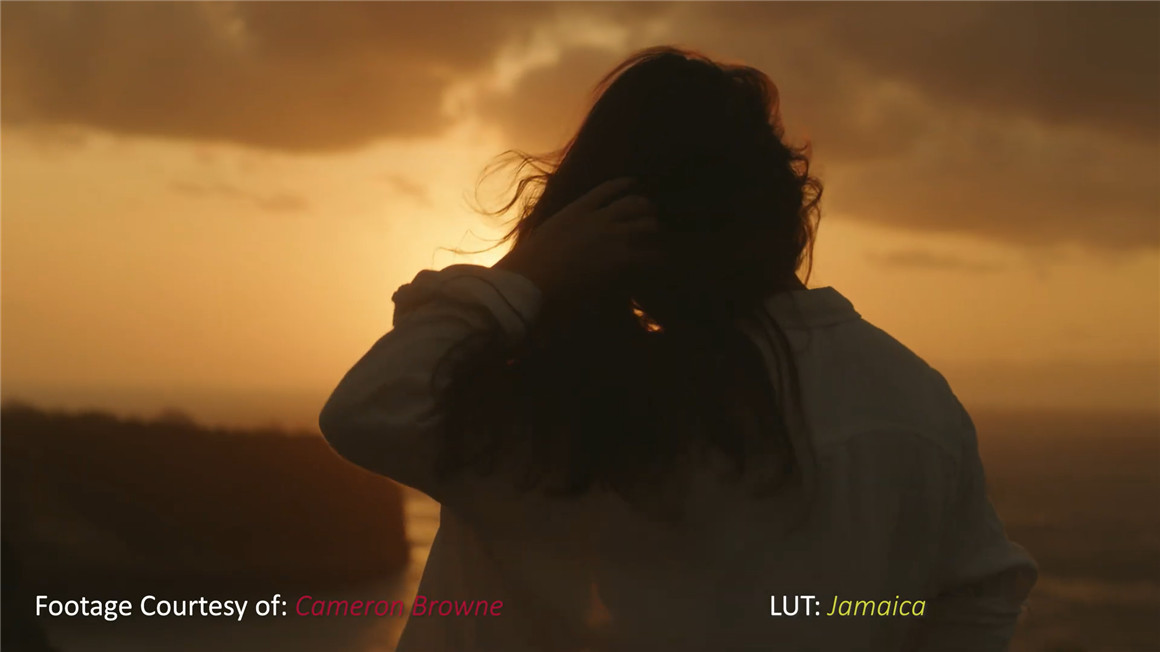 Phantom LUTs 松下S1h/5转阿莱色彩LUTs预设 Phantom LUTs for Panasonic S1h/5 插件预设 第8张