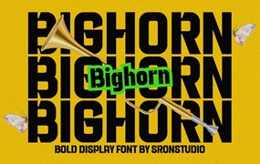 现代极简杂志海报包装徽标设计无衬线英文字体安装包 Bighorn – Bold Logo Font