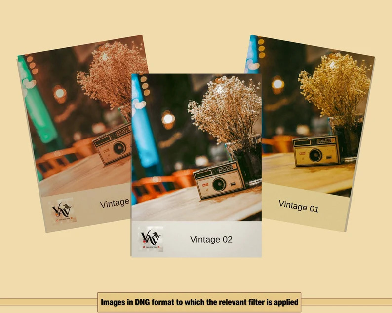 100+ Vintage Lightroom Presets Bundle 插件预设 第2张