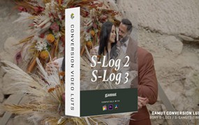 Gamut 索尼S-Log3/S-Log2色彩还原LUT调色预设 Sony Conversions for SLog3 & SLog2