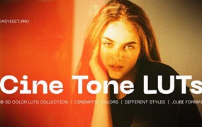 10组电影质感胶片模拟视频调色LUT预设CUBE格式设计素材 Cine Tone LUTs