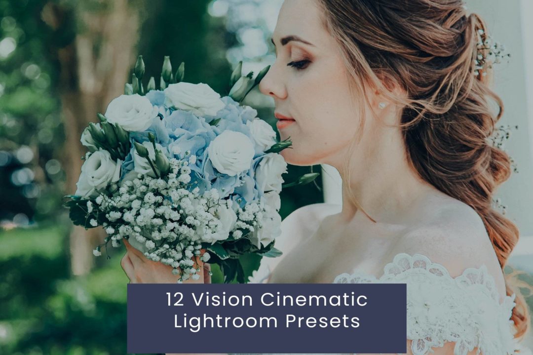 12组复古怀旧电影婚礼博主摄影照片调色Lightroom预设 12 Vision Cinematic Lightroom Presets 插件预设 第1张