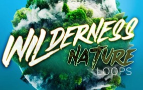 真实荒野自然森林环境鸟鸣水流树叶氛围音效素材 Epic Stock Media Wilderness Nature Loops