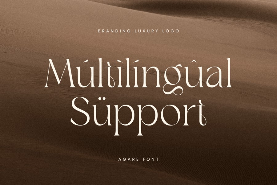 优雅奢华品牌包装徽标设计衬线英文字体安装包 Agare – Branding Luxury Font 设计素材 第4张