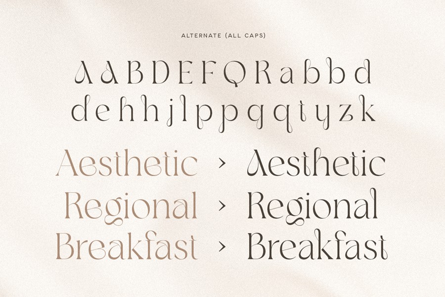 优雅奢华品牌包装徽标设计衬线英文字体安装包 Agare – Branding Luxury Font 设计素材 第9张