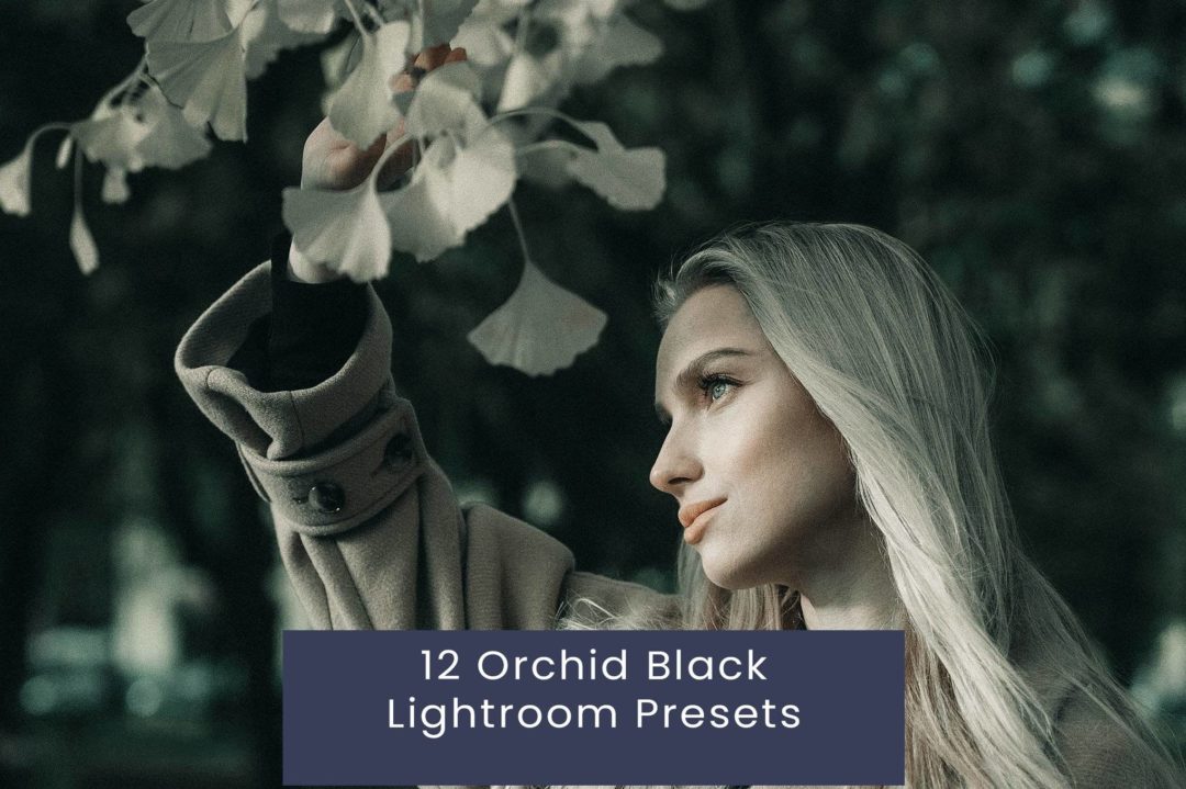 12组时尚复古美学皮肤润饰电影婚礼照片调色Lightroom预设 12 Orchid Black Lightroom Presets , 第1张