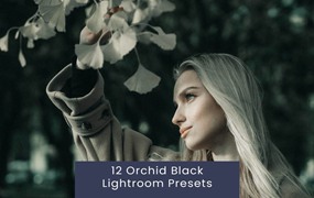 12组时尚复古美学皮肤润饰电影婚礼照片调色Lightroom预设 12 Orchid Black Lightroom Presets