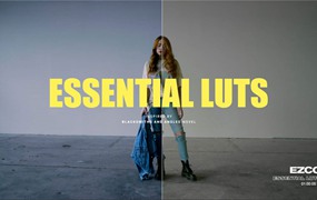 10款情绪美学电影感LUT调色滤镜LR预设模板 Ezra Cohen – Essential Luts