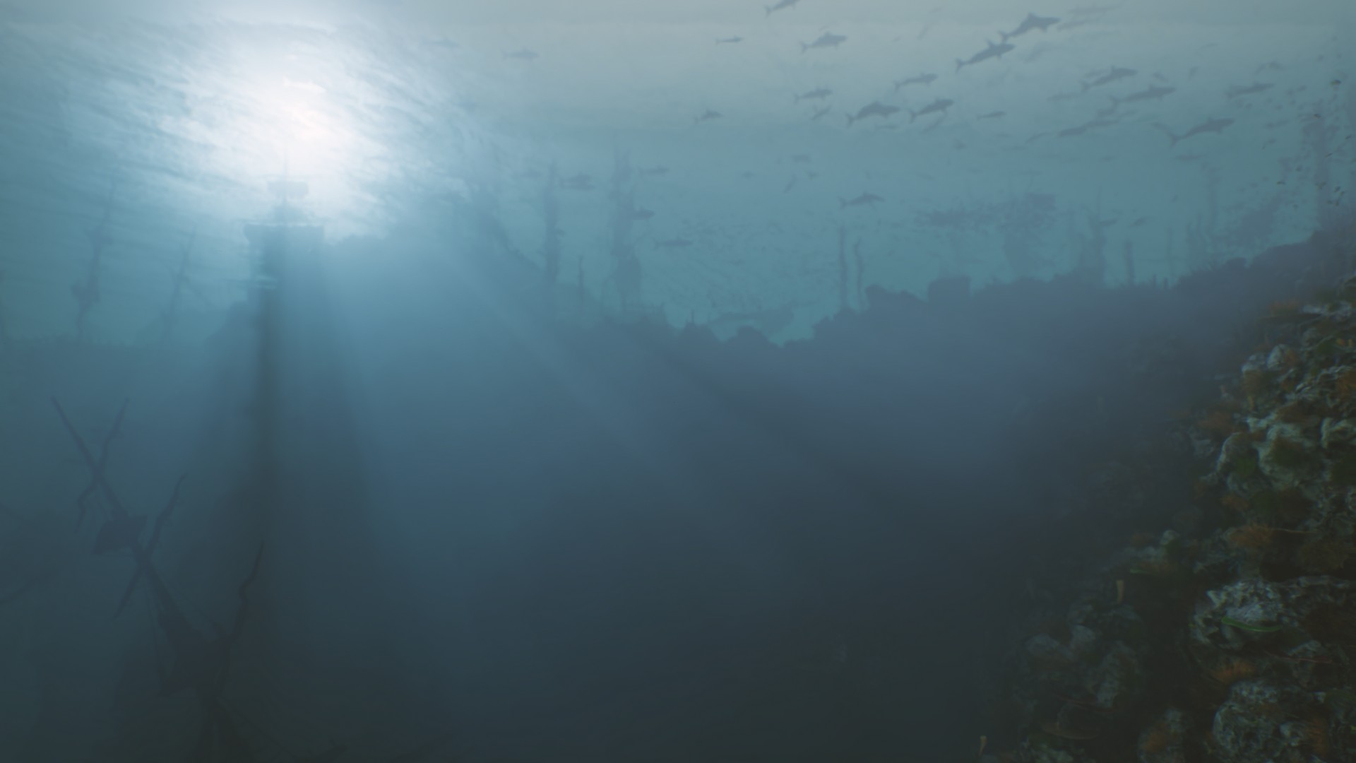 海底植物石头鱼类潜水员沉船场景3D模型UE设计素材 Bay Submerged Ships , 第6张