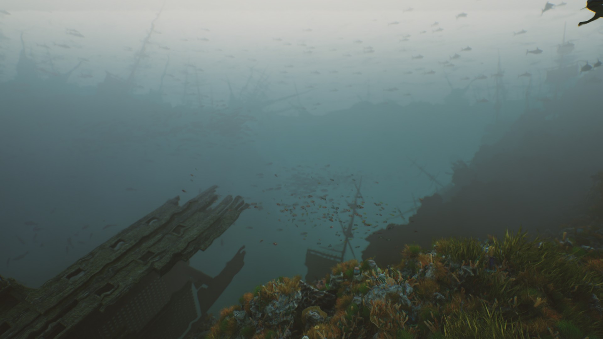 海底植物石头鱼类潜水员沉船场景3D模型UE设计素材 Bay Submerged Ships , 第13张